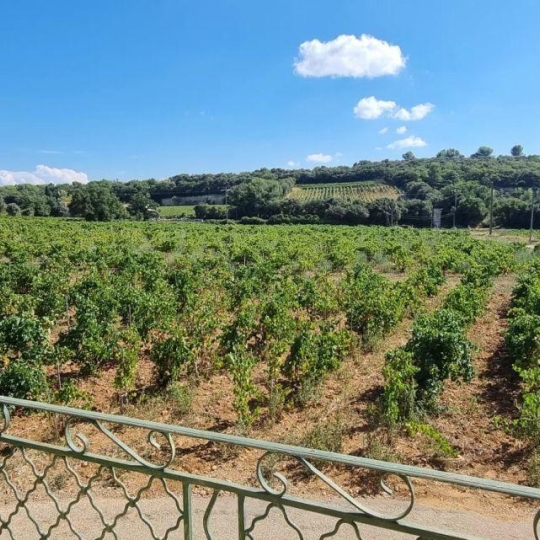 AGENCE TEMPLUM : Maison / Villa | CHATEAUNEUF-DU-PAPE (84230) | 40.00m2 | 696 € AGENCE TEMPLUM : Maison / Villa | CHATEAUNEUF-DU-PAPE (84230) | 40.00m2 | 696 €