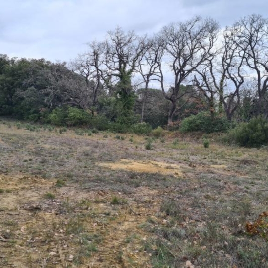 AGENCE TEMPLUM : Terrain | BEDARRIDES (84370) | m2 | 220 000 € 