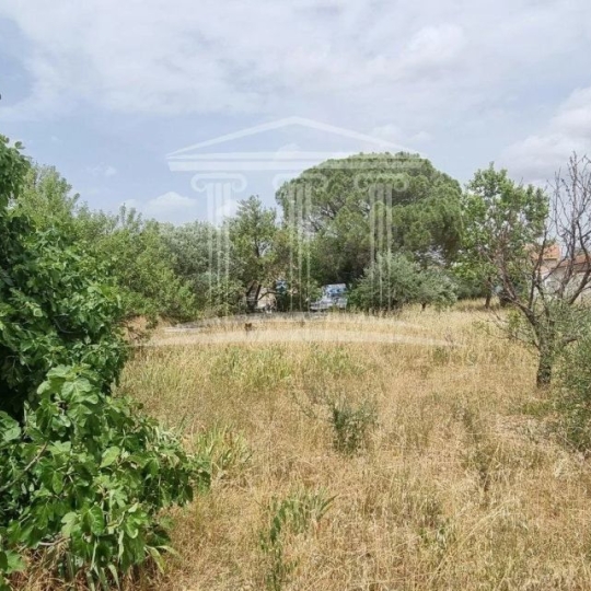 AGENCE TEMPLUM : Ground | SORGUES (84700) | m2 | 138 000 € 