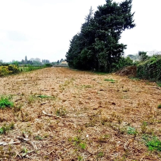 AGENCE TEMPLUM : Terrain | JONQUERETTES (84450) | m2 | 218 000 € 