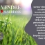  AGENCE TEMPLUM : Terrain | SARRIANS (84260) | 0 m2 | 208 000 € 