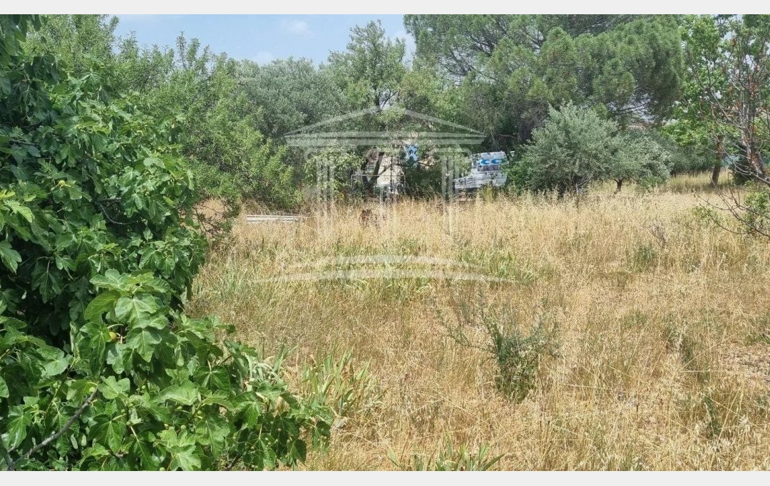 AGENCE TEMPLUM : Terrain | SORGUES (84700) | 0 m2 | 138 000 € 