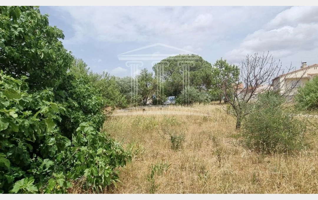 AGENCE TEMPLUM : Ground | SORGUES (84700) | 0 m2 | 138 000 € 