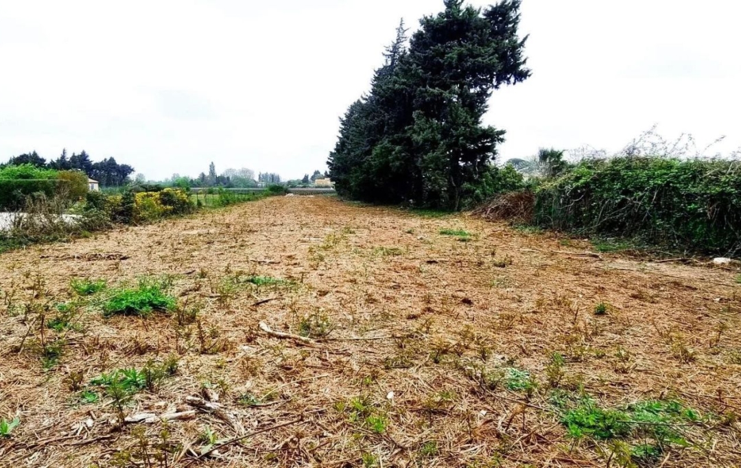 AGENCE TEMPLUM : Terrain | JONQUERETTES (84450) | 0 m2 | 218 000 € 