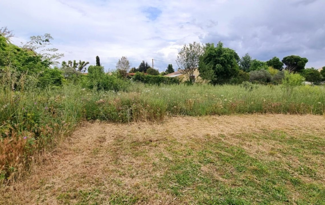 AGENCE TEMPLUM : Terrain | SORGUES (84700) | 0 m2 | 260 000 € 