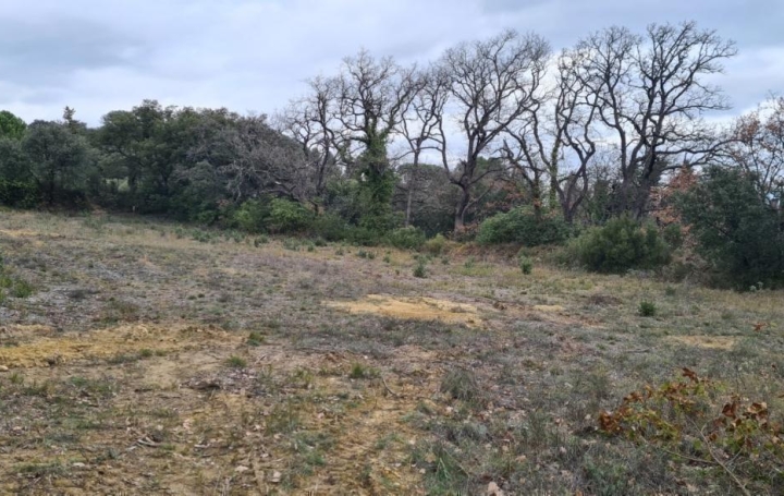 Terrain BEDARRIDES 199 500 € Terrain BEDARRIDES 199 500 €