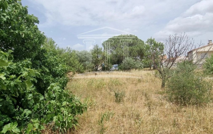  AGENCE TEMPLUM Ground | SORGUES (84700) | 0 m2 | 148 000 € 