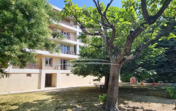  AGENCE TEMPLUM Appartement | AVIGNON (84000) | 72 m2 | 128 000 € 