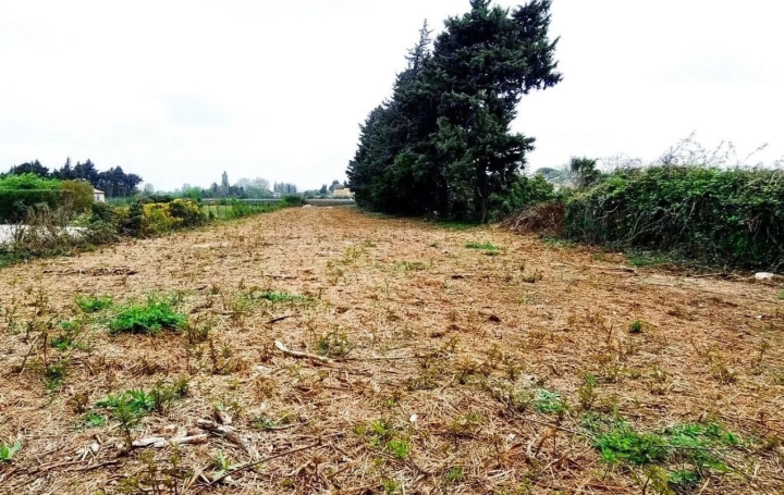 Terrain JONQUERETTES 218 000 € Terrain JONQUERETTES 218 000 €